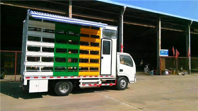 帶生活區(qū)藍(lán)牌養(yǎng)蜂車，兩邊固定意蜂箱40箱